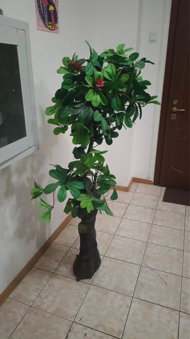 Декоративное дерево в офис или подьезд