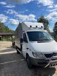 Transport animale vii autorizat – rapid și sigur în toată țara