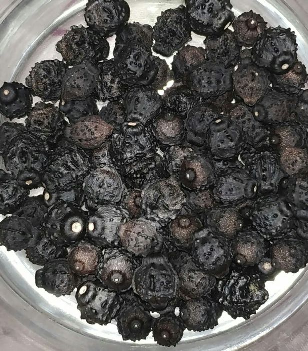 Семена ,,Ночная красавица".