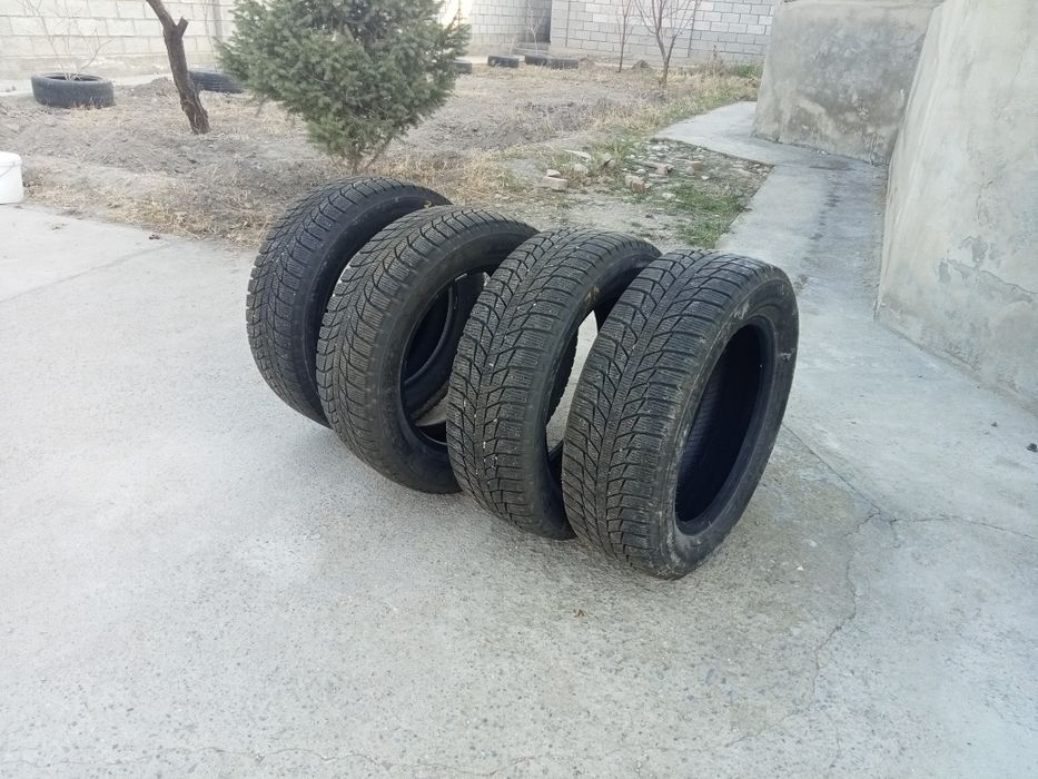 Ризины хороший..