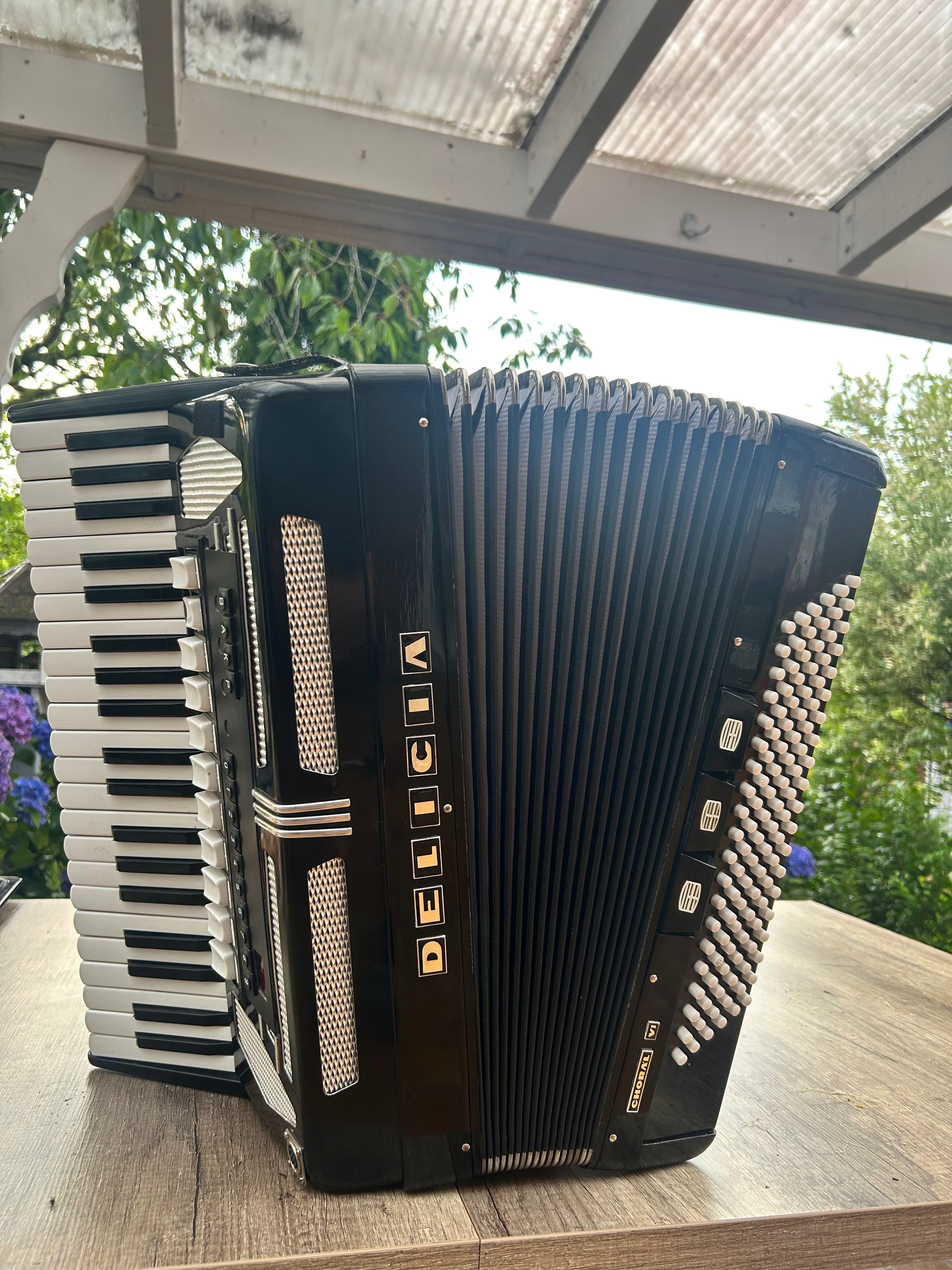 Acordeon Delicia cassotto