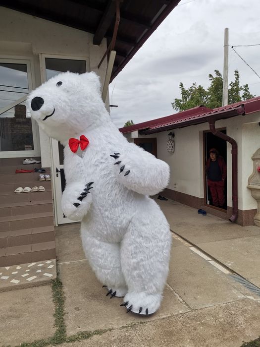 Urs gigant ,2,5 metri