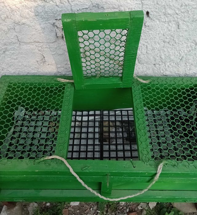 cutie pentru transport porumbei