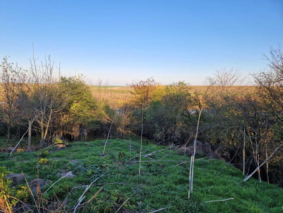 Refugiu la 1h de Bucuresti - 60m deschidere la apa, casa sau glamping