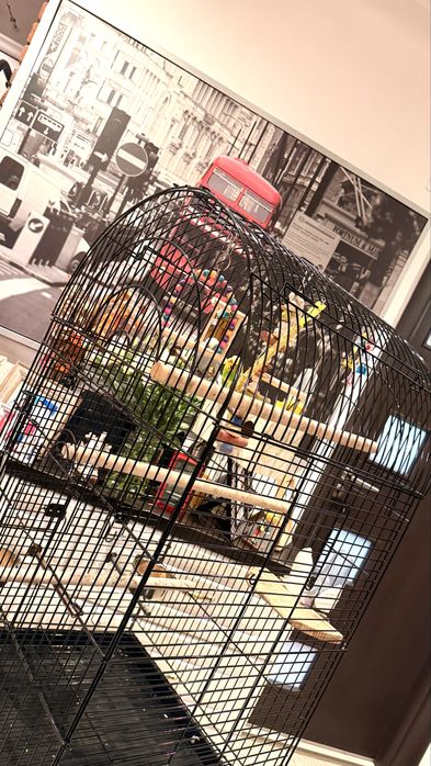 PawHut Colivie pentru pasari si canari, voliera pentru papagali