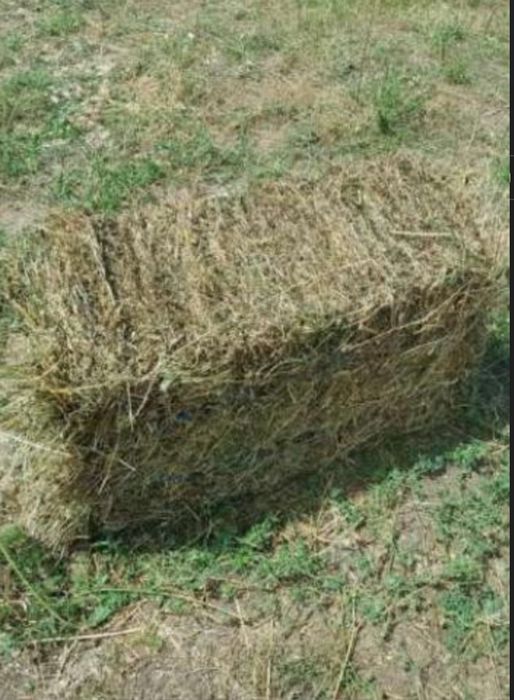 Baloți de fân coasa a doua