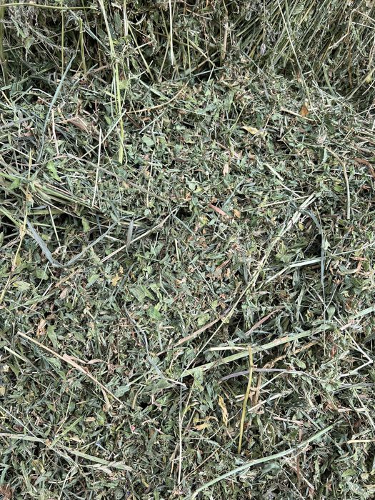 Baloti lucerna baloti fan role rotunde