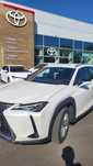 Lexus 2.0 hybrid an 2021