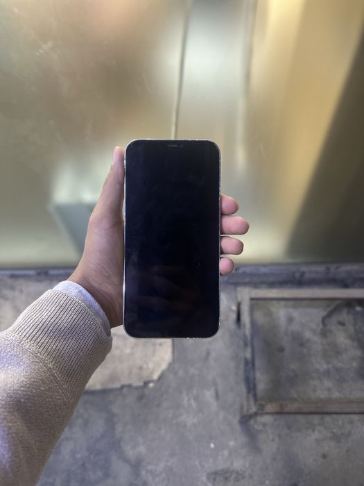 Iphone 12 pro max ideal