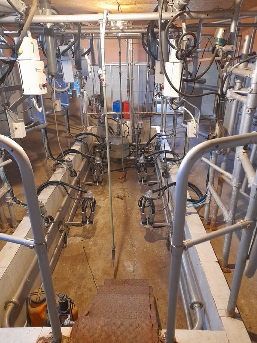 Vând sală de muls  6 capete