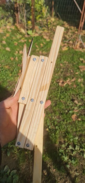 Steluțe pentru colindat pentru copii de la 4 la 10 anișori.