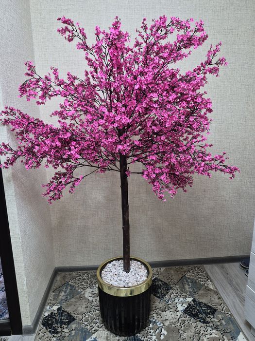 Продаёться декоративное дерево