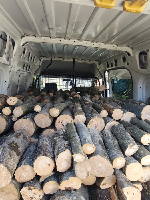 Vând lemne fag 800 lei duba