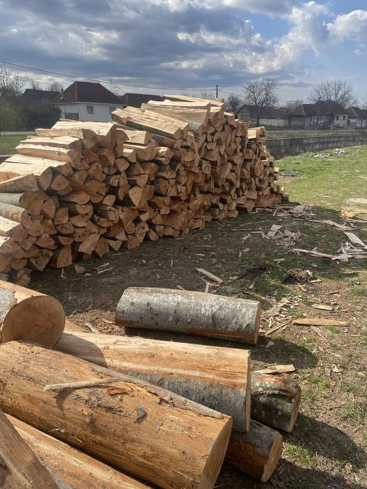 ‼️Lemne de foc VERZI sau USCATE