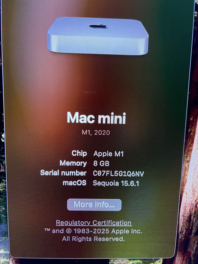 Mac mini m1 2020 8gb/256gb