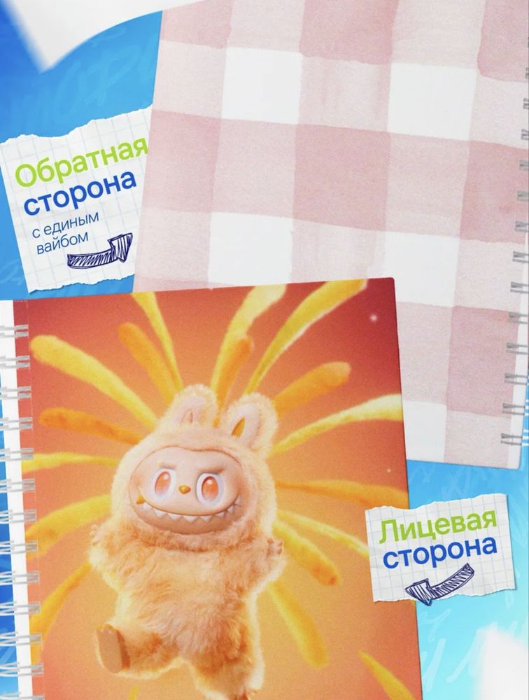 Общие тетради в клетку на пружине Лабубу