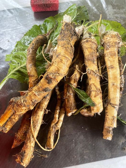 Hrean proaspat de vanzare