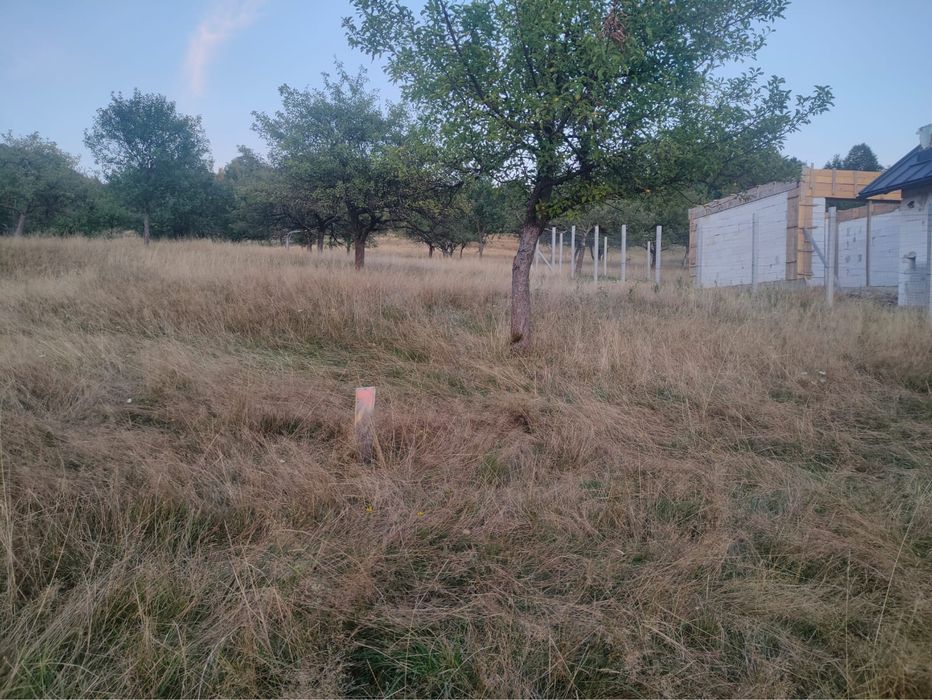 Vand doua terenuri intravilan, construibil in Loc. Baia Sprie