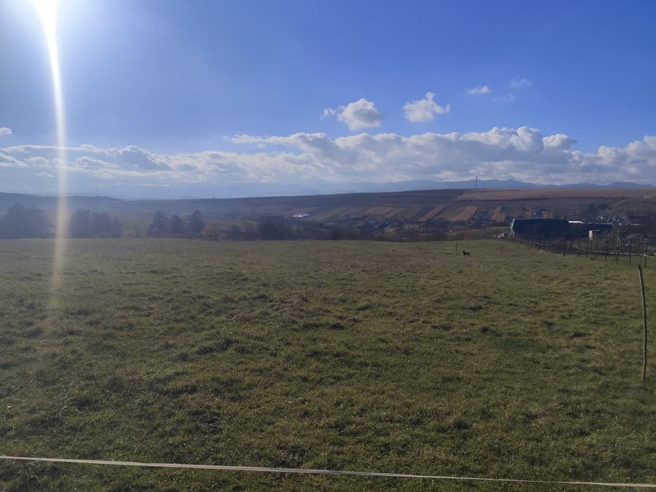 Vând teren Salicea com Ciurila