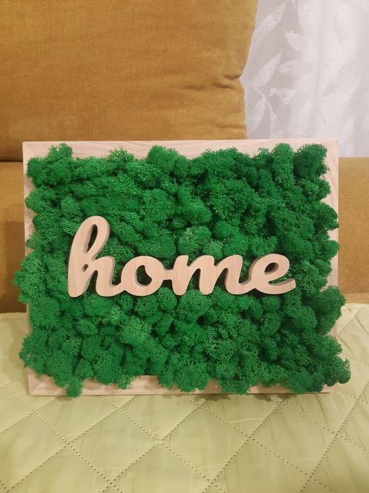 Tablou cu licheni home lemn natur