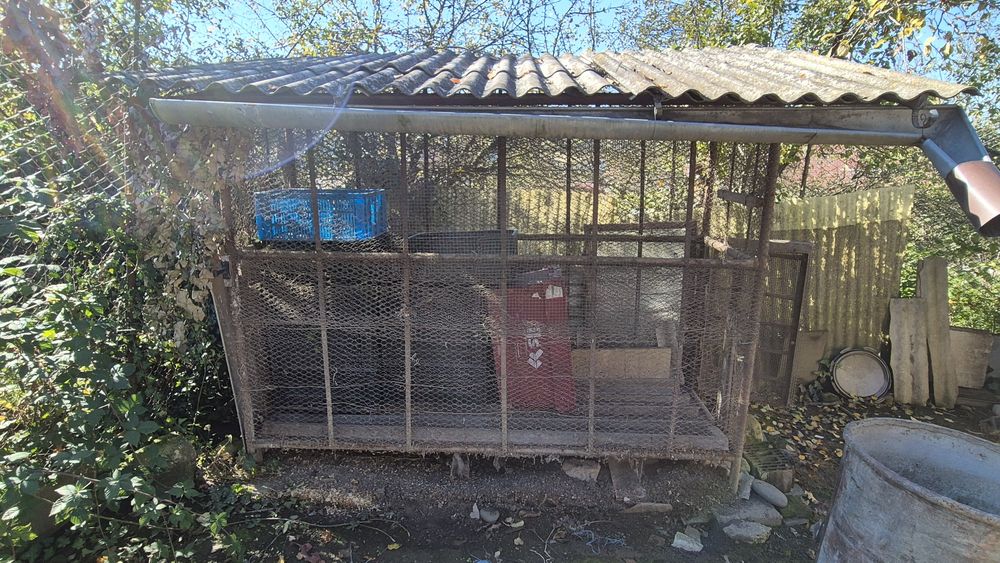 Vănd Costei din metal pentru  porumb