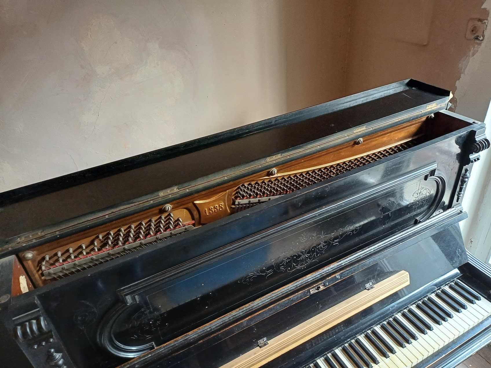 Pianina Pian Hermann Mayr Mayr ST Petersburg Placa de Bronz