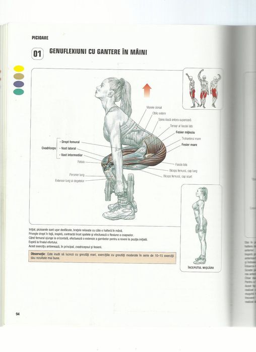 Cartea Anatomia unui corp perfect