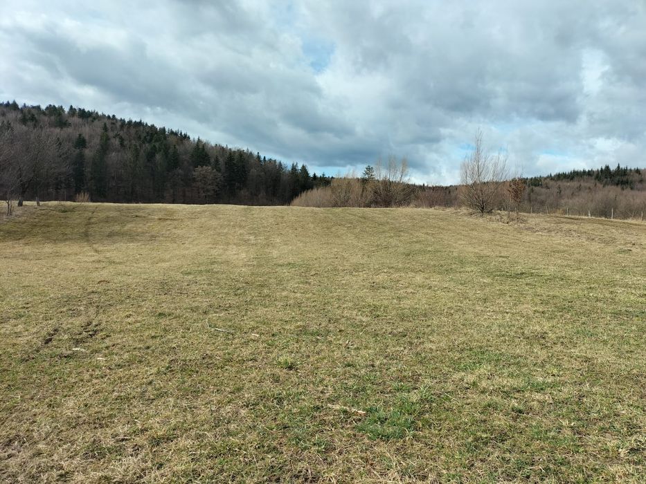 Teren de vânzare Oșlobeni