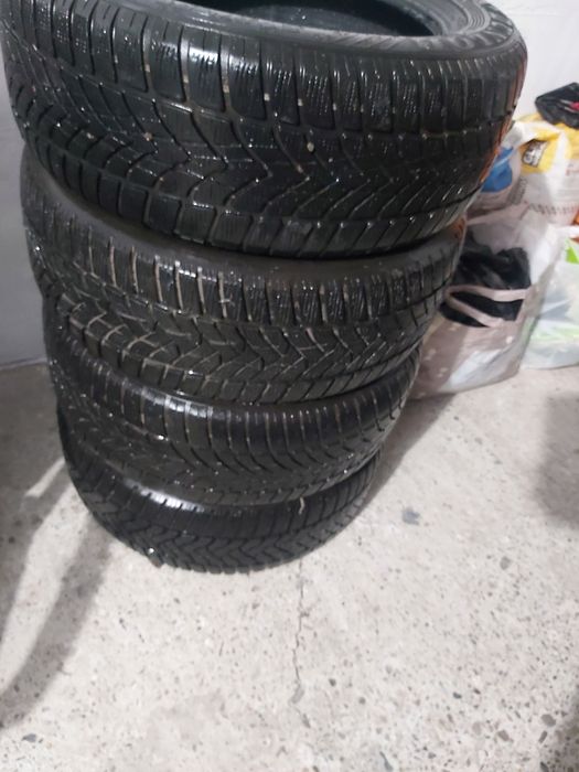 Cauciucuri 205 55 16 Dunlop iarnă