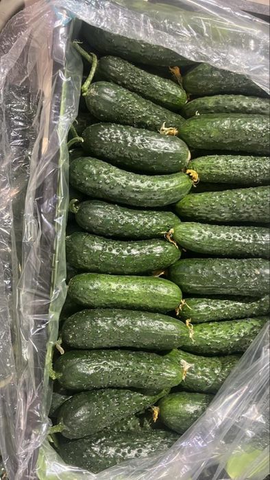 Поставка овощей из Ирана