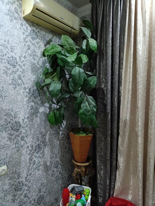 Продам бу  искусственные деревья  для дома садик офис