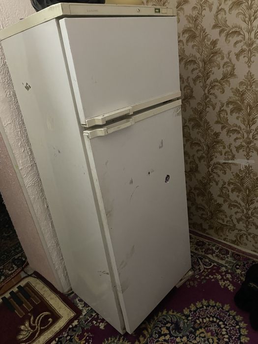 халоделник харошем састаяня