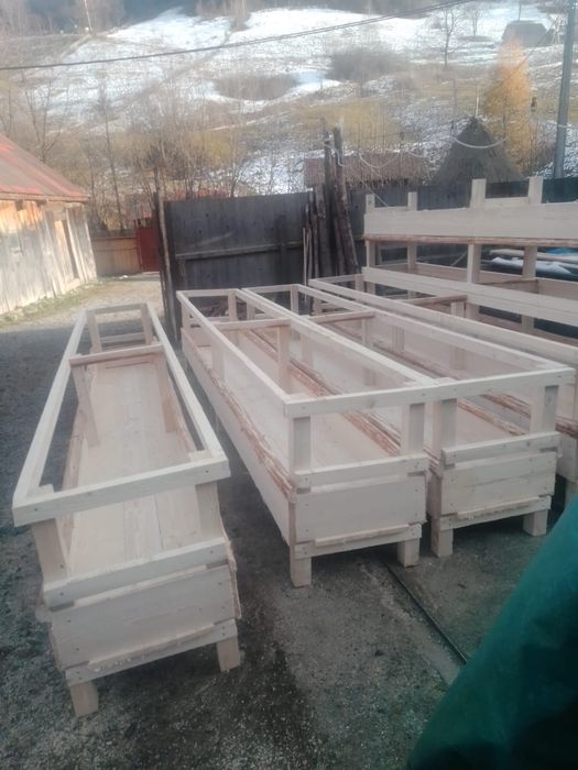 Vând iesli pentru oi