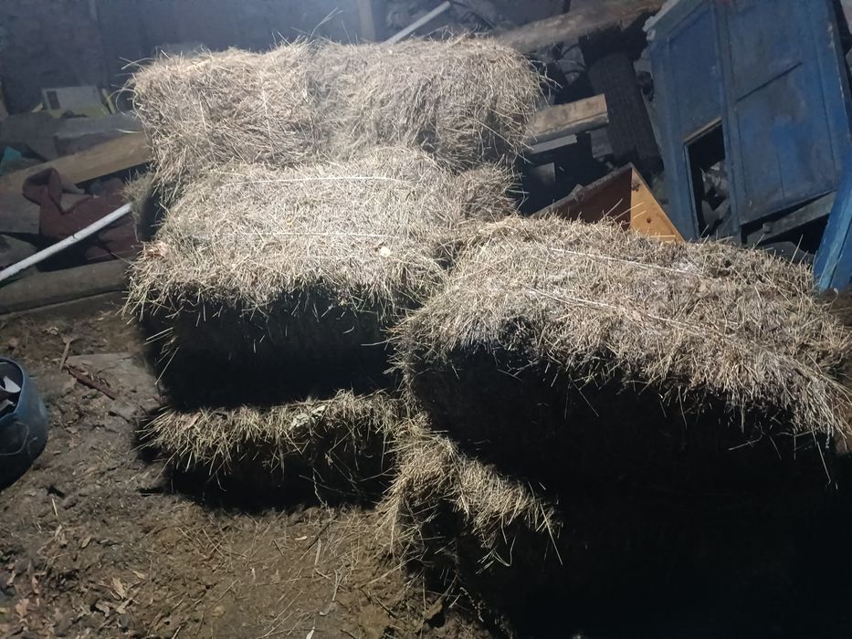 Продам сено в тюках
