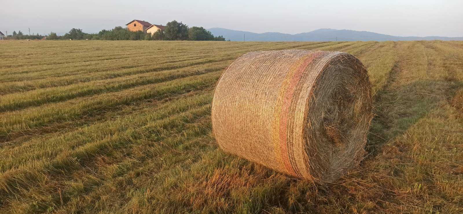 Продавам Рулонни Бали Сено, село Ковачевци (Самоковско)
