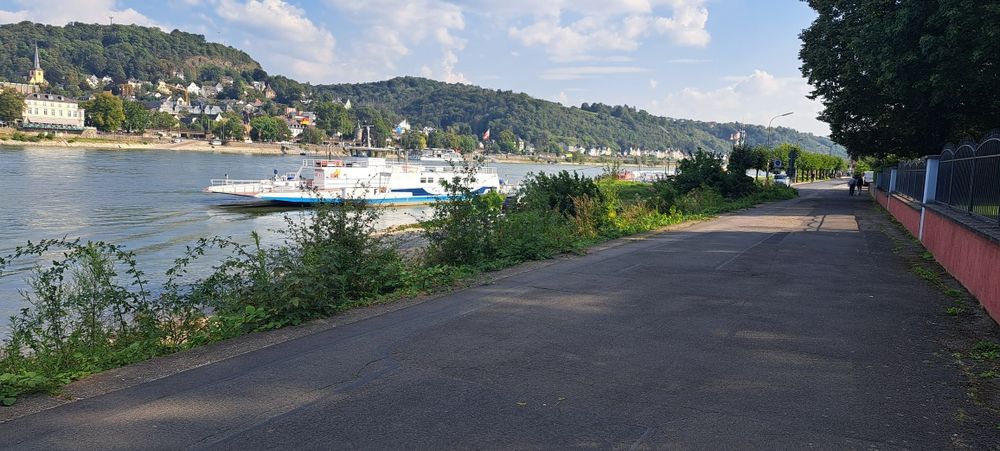 Nemis Tilini Noldan O'rganing!