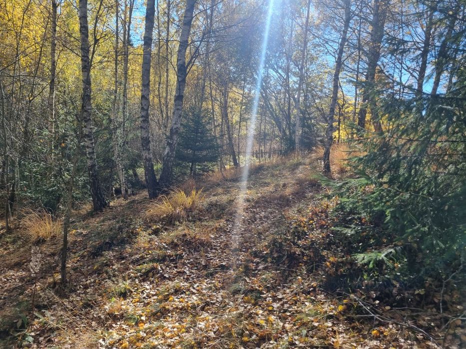 De vânzare teren  in Râșca