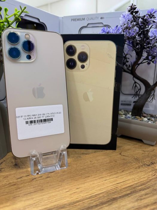 Ip 13 pro max Pintel.kz