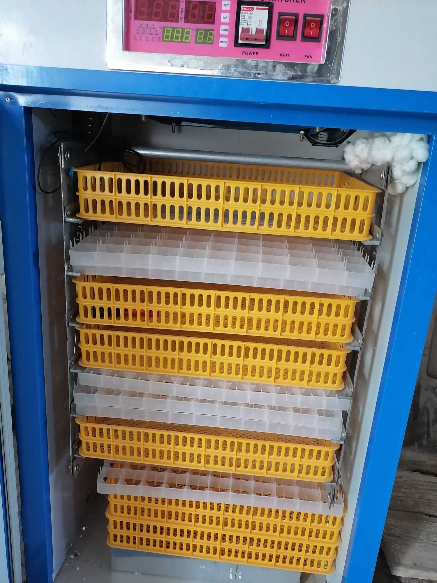 Inkubator 500talik kafolati bilan