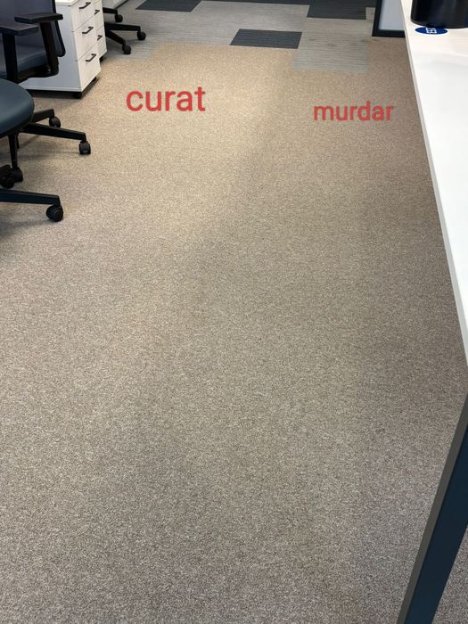 Firma de curățenie profesionala