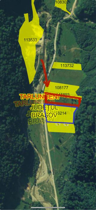 Teren 7300mp Valea Zizinului tarlungeni