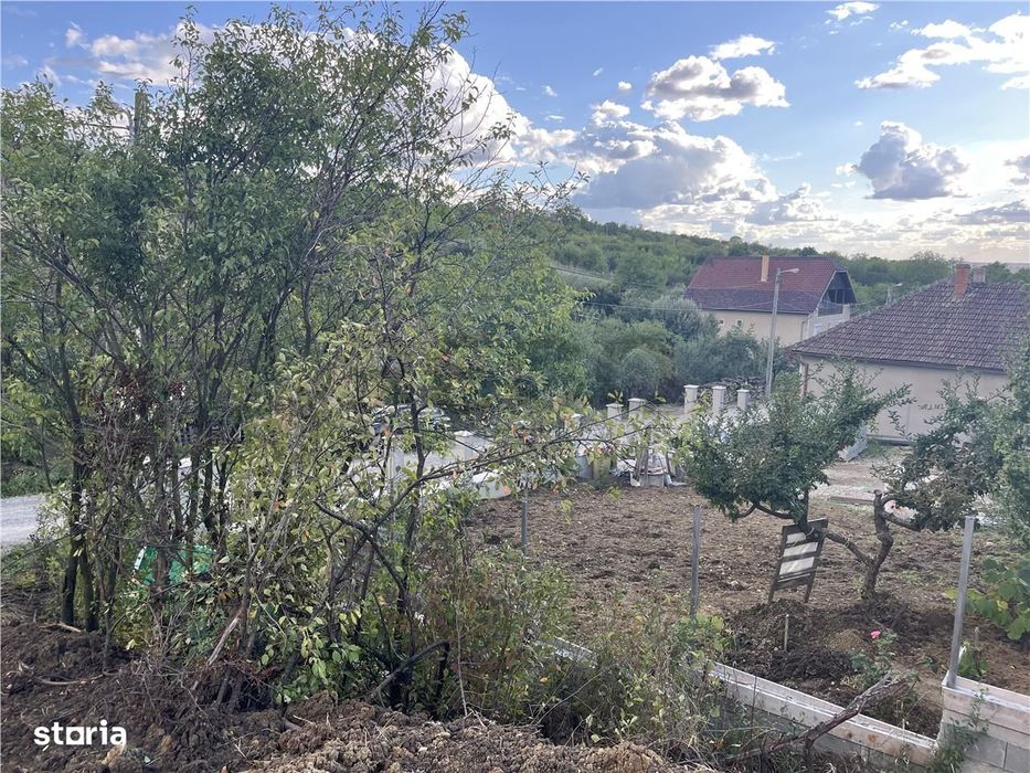 RECO Teren 4300 mp Podgoria-Oradea la 10 minute de centru