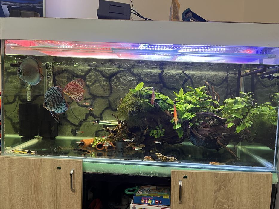 Аквариум 420 литра с метална стойка