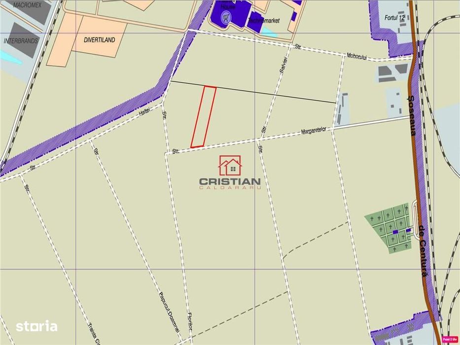 Vanzare teren Domnesti - Centura, ILFOV