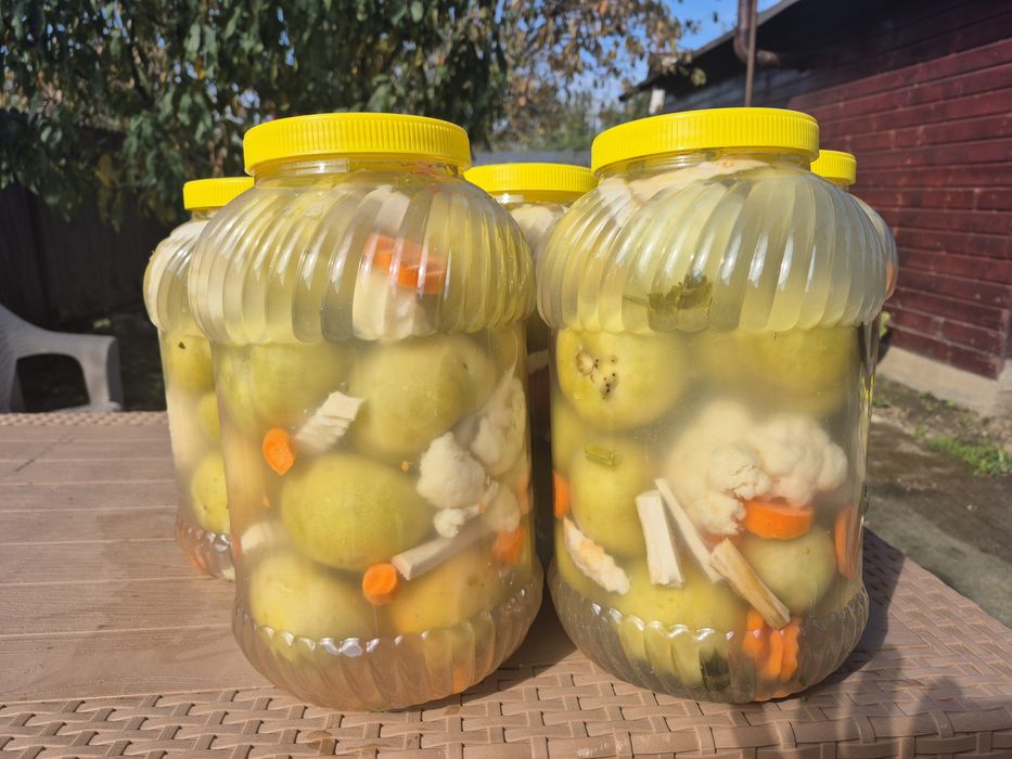 GOGONELE in saramura!!!