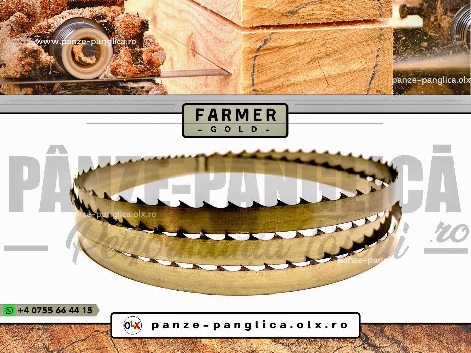 Panze banzic panglica GOLD GERMANY 4000x40x1 fierastrau banda bustean