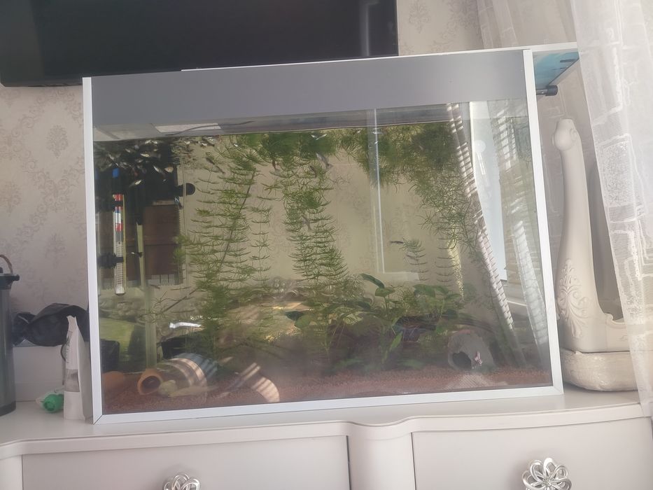 Продам аквариум на 150л
