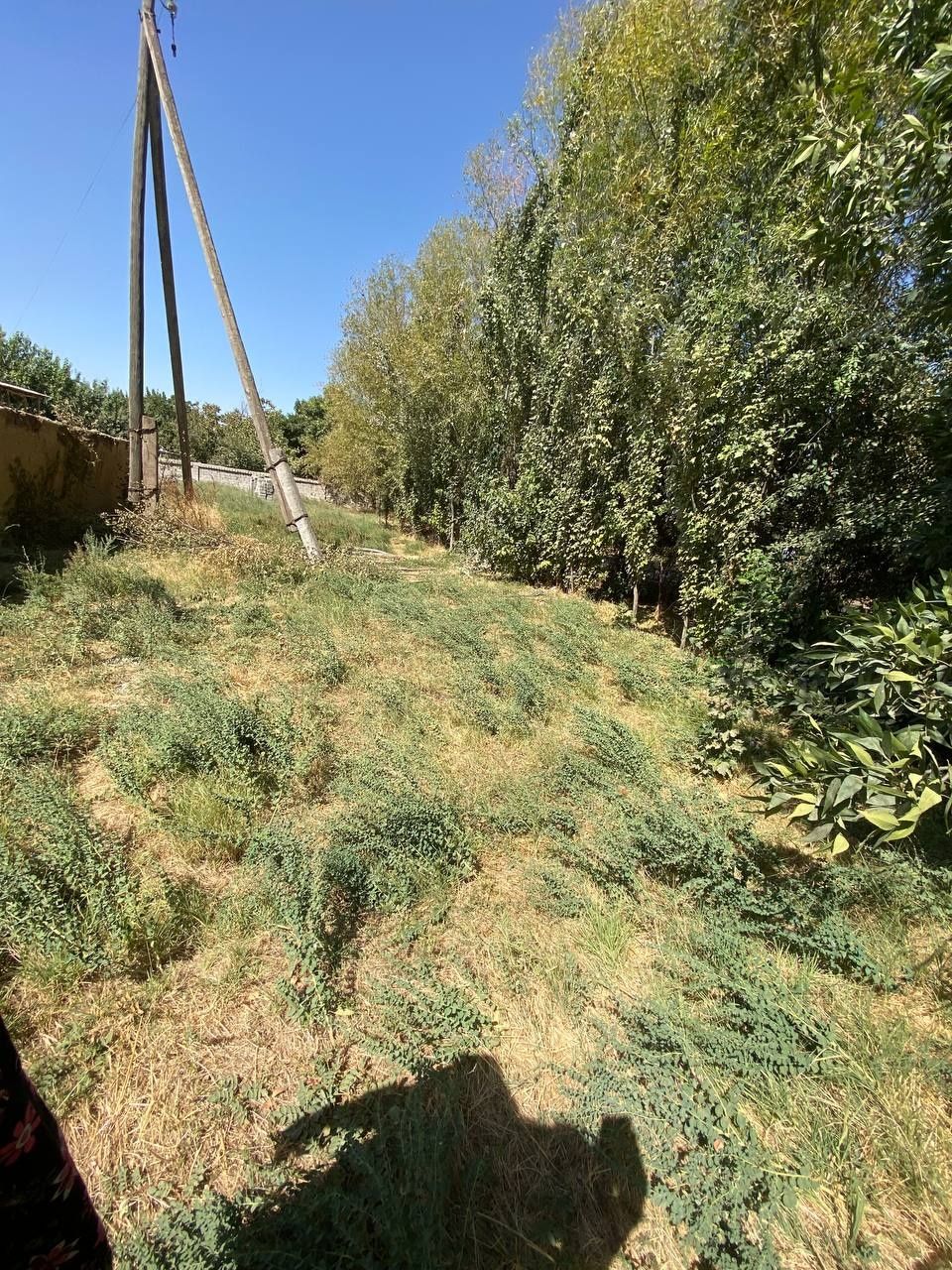 Uchastka sotiladi 10 sotik. Manzil. Toshkent viloyati Parkent tumani.