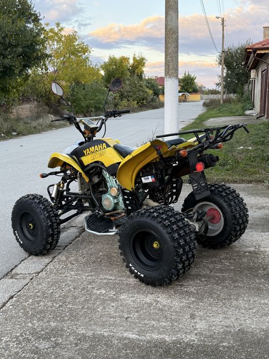 ATV BASHAN 250cc  с документи Атв 250