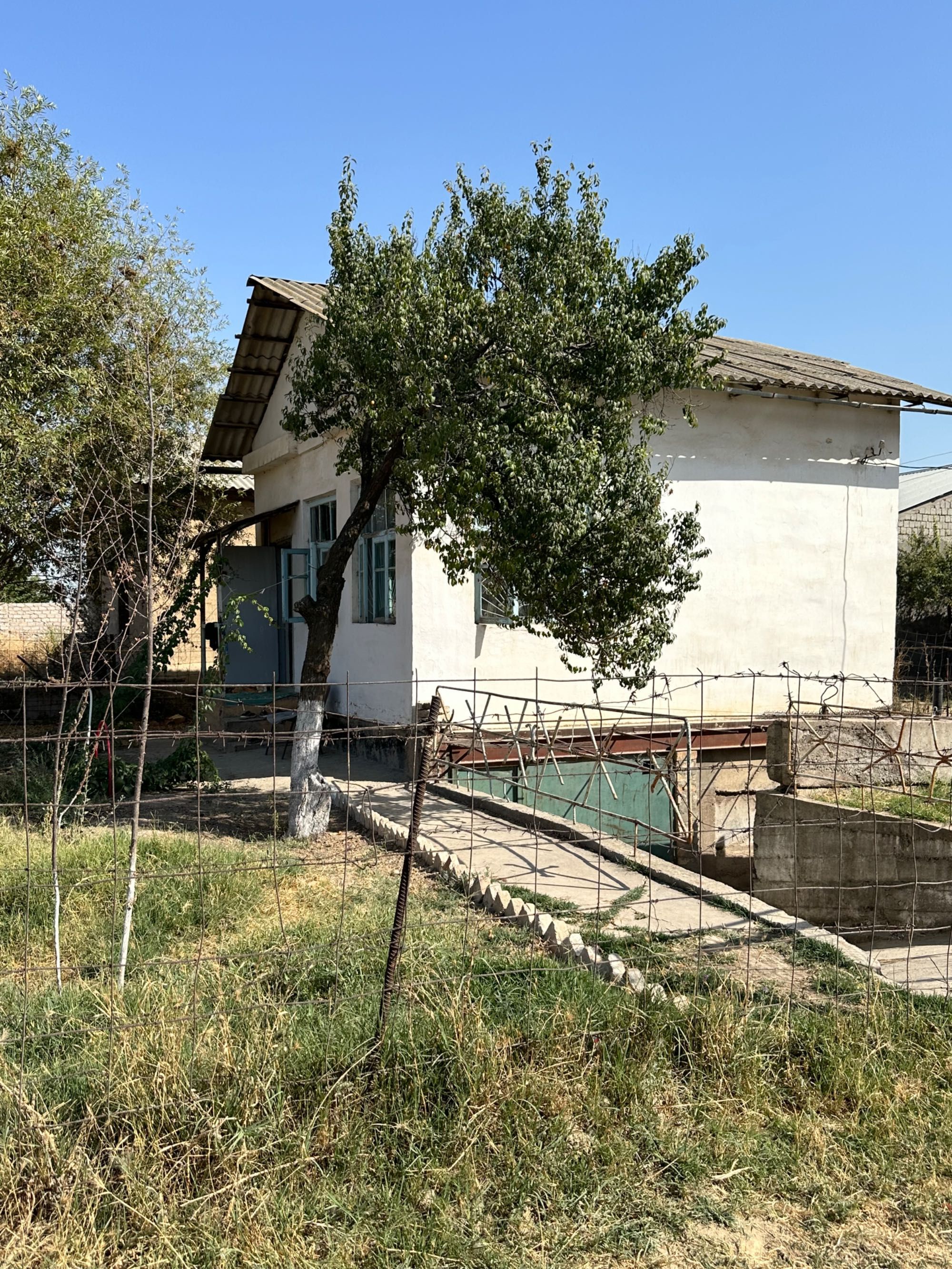 Dala hovli uchaska
